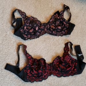 Frederick's of Hollywood Bra Pair